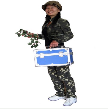 �Ԅ�(d��ng)ˮ�|(zh��)�ɘ��� (�p��ʽ)BC-9600