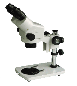 �B�m(x��)׃���wҕ�@΢�RXTL-2600