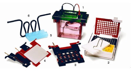 ����(l��)Criterion�D(zhu��n)ӡ�x