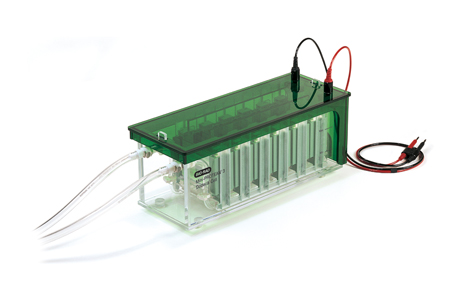 ����(l��)Mini-PROTEAN&reg; 3 Dodeca™С�͸�ͨ���Ӿ��