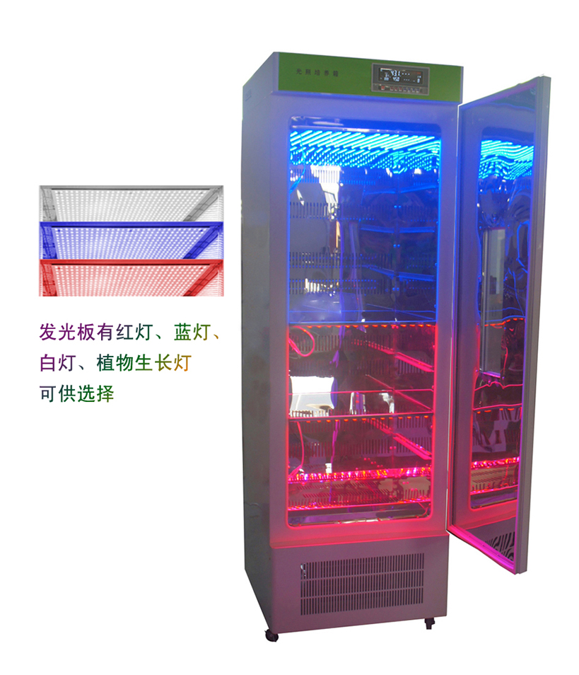 �������B(y��ng)�� LB-300-��