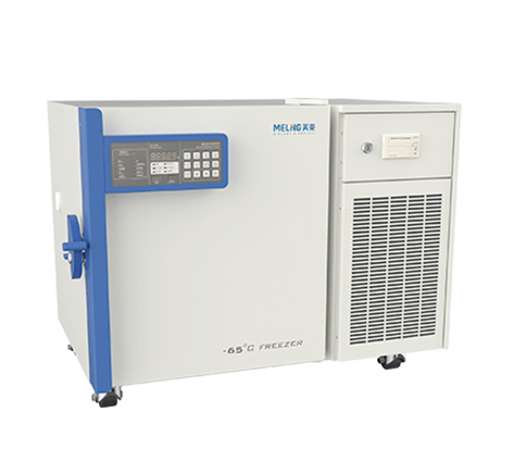 ���͜�����惦��DW-GL100